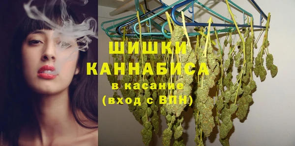 твердый Горняк