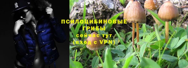 герыч Белокуриха